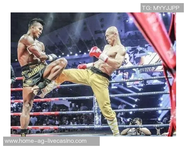 一龙与播求三番战再度交锋谁将成为巅峰之战的赢家揭晓荣耀与实力的较量 一龙与播求三番战再度交锋谁将成为巅峰之战的赢家揭晓荣耀与实力的较量